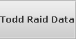 Todd Raid Data Recovery Services